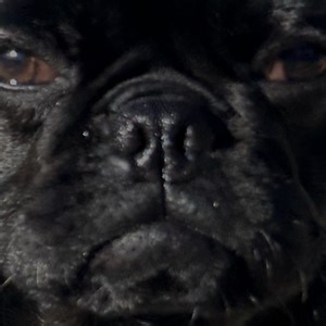 squishy_wishy_ - Twitch