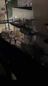 1.4K views · 52 reactions | The Reality for Stray Dogs: A Call for...