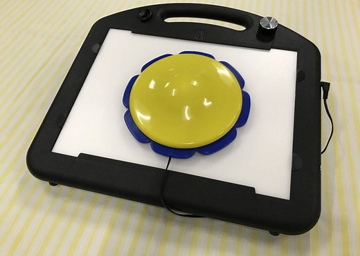 The LED Mini-Lite Box and the Switches that Operate It | American Printing House