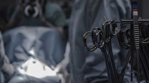 Organspende – Drei Bedenken gegen Organspende im Faktencheck