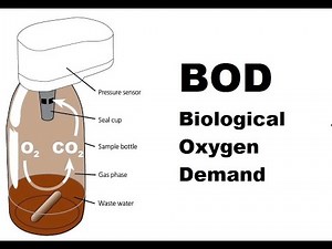 BOD Biological Oxygen Demand | Yazenkom