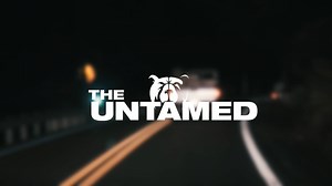 3.3K views · 127 reactions | New video today at 6 pm est.  | The Untamed | Facebook