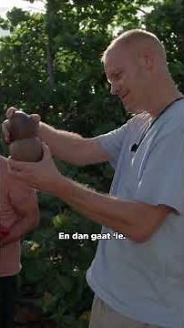 Tommie de Hunter en chef Wesley houden het team in leven 🤝 | Football Island