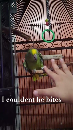 I DONT WANNA GET BIT