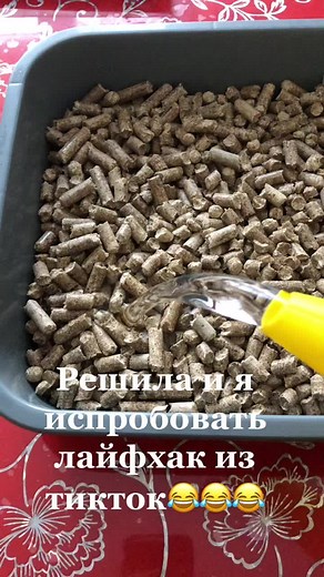 Animal Feed Preparation: From Pellets to Onions