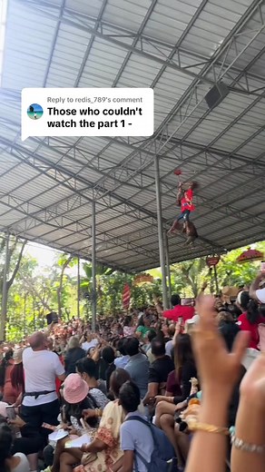 Exploring the Orangutan Show in Thailand