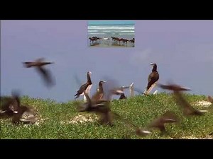 [REUPLOAD] | Windows 7 Sample Video! | Sparta Unextended Mix! |