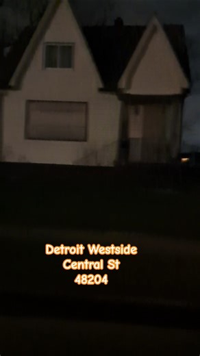48204 One of Detroit's Wildest Westside Zip Codes #shorts #detroit #action