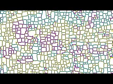 reaction diffusion experiment pr test 02 prs 238 boxy cmy grid