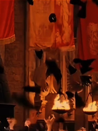 Discover Your Gryffindor House Pride Today