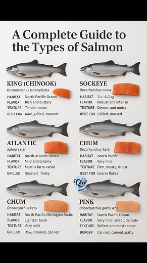 A Complete Guide to the Types of Salmon | Chef Jahed