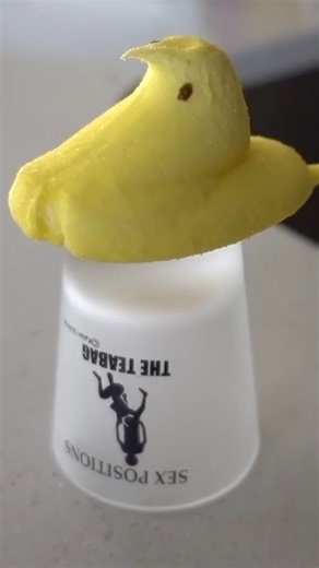 10K views · 51 reactions | Peeps Extravaganza  #cookingtime #peeps #virals | HellthyJunkFood | Facebook