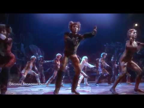 Broadway In Chicago - CATS
