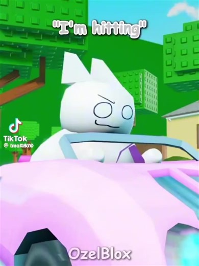 Spinning Cat Beetle Meme Video