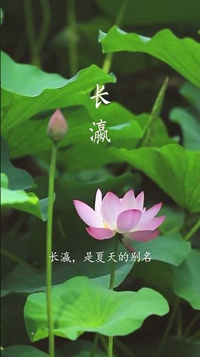 素商已至，元英可待，东皇尚早，长瀛稍迟。#中文 #四季雅称 #囍茶人 #茶空间 #茶生活 #中国传统文化 #仪式感 #一花一草一世界 #祝福