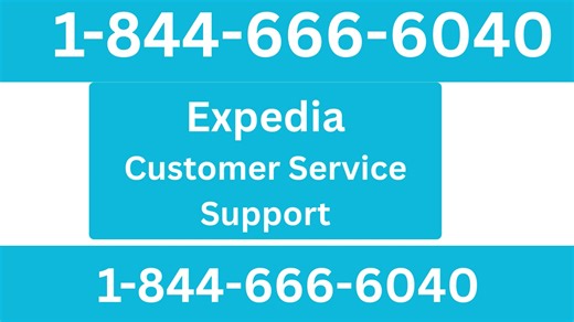 Official Guide !!Expedia!!®® Customer Service | Step-by-Step Guide to Get Help Anytime