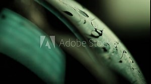 Green fluid 3d sphere, fluid background, plasma, fluid movement, green sphere, dark gloomy background, smooth moving