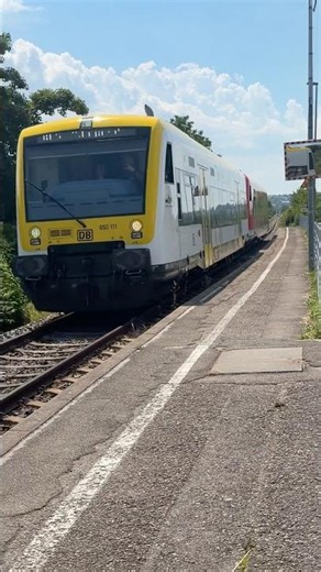 DB 650 111 und 650 301 Regioshuttle RS1 Doppeltraktion als RB 74 nach Tübingen #br650 #bwegt