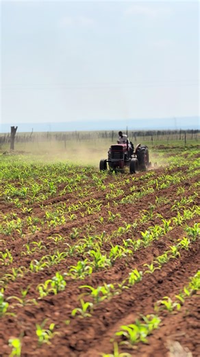 mafathapelo (@mafathapelo)’s videos with The Calling - Main Mix - DukeSoul