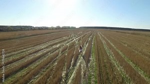 Young happy woman in field. Footage. Woman with arms outstretched in a wheat field. Beauty Girl Outdoors enjoying nature. Beautiful Teenage Model girl in white dress running on the Spring Field, Sun