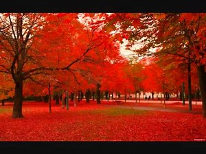 Música Clássica Chinesa II