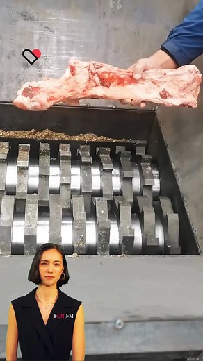 fcnfm.shreddermachine su TikTok