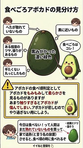 【10秒で健康】もう失敗しない！美味しいアボカドの見分け方｜食べごろを完璧に見極める4つのポイント