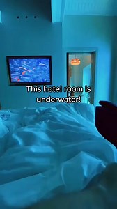 111K views · 2.5K reactions |  Atlantis, The Palm, Dubai  @terplanet on TikTok | Matador Network | Facebook