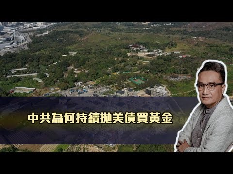 中共為何持續拋美債買黃金❓28 Oct2023