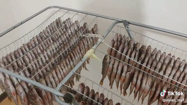 How to Dry Fish at Home: Easy Steps and Tips