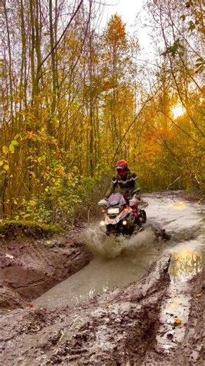 Sikho app download kary BMW GS 1250R ADV #foryou #viral #fyp #foryoupage #bike #shorts #youtube