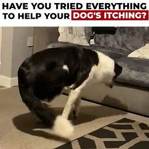 3.3K reactions · 1.3K shares | Have you tried everything to help ease...