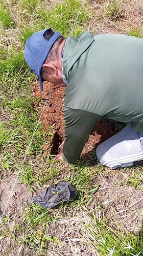 1.6K views · 28 reactions | Empezando proyecto de siembra de cacao | Walter Construye | Facebook