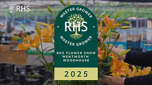 Harts Nursery, a family-run nursery in Cheshire specialising in lilies and other spring and summer bulbs, are the Master Growers at RHS Flower Show Wentworth Woodhouse 🌺 Every year, the RHS Master Grower scheme champions leading nurseries from around the UK. Winning this award is testament to the passion and expertise put into producing every plant. Congratulations to co-owners Loraine and Patrick Hart 👏 If you're at RHS Wentworth Woodhouse this week, head to the Floral Marquee to see their sh