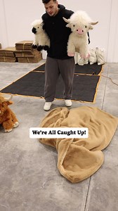 SnugglePals - Premium Weighted Stuffed Animals ✅ 6lbs, 4.5lbs or 2.5lbs ✅ 22”, 16" or 12" Tall ✅ Our Fastest Seller EVER ✅ Heatable & Coolable SnugglePals the stuffed animals so good that you typically have to wait. Luckily we have some in stock right now. With the current demand it's just been hard to keep up, but we're constantly improving inventory levels the best that we can. | SnugglePals