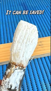 4.4M views · 74K reactions | It Can Be Saved #tipcentric #tips #tipsandtricks #tools #diy | TIP Centric | Facebook