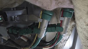 Cow Milking System Atomatiс Dairy Robot Stock Footage Video (100% Royalty-free) 3462867713 | Shutterstock