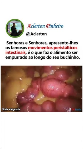 Movimentos peristálticos (ou peristalse).