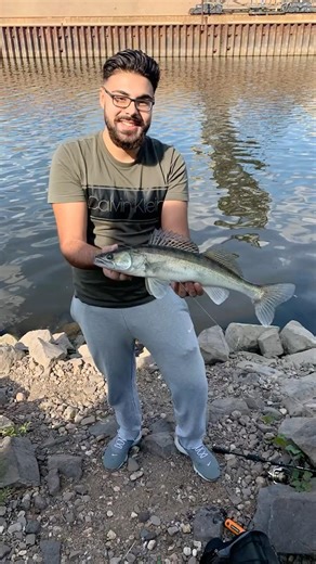Zander angeln mit schönen Beifänge ￼#zanderangeln #sportfishing #nays #bkkhooks