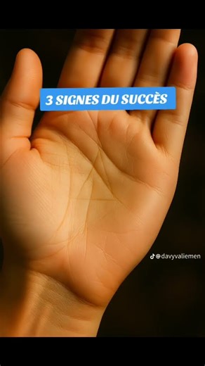 SIGNE & SIGNIFICATION & SIGNES DU SUCCÈS
