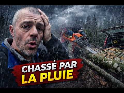 Trailer full between two rain showers! 🌳🪓🪵🪚🌲