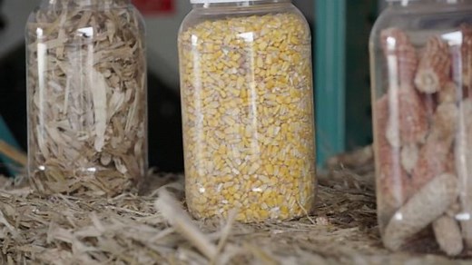 UN report states climate change could impact global food systems