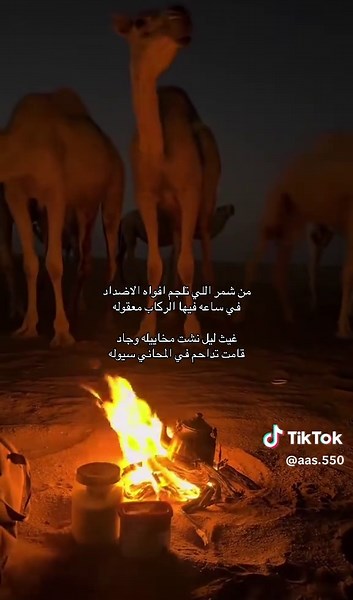 شعر عن شمر وحايل: قصائد تعبر عن الهوية