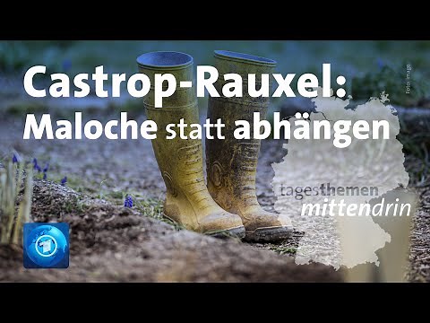 Castrop-Rauxel: Kleingarten-Boom wegen Corona | tagesthemen mittendrin