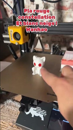 Impression 2 couleurs avec la Wanhao d12