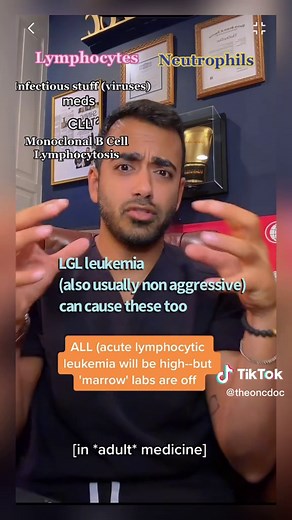 why is ur WBC high?! answer is in the differential. #labwork #hematology #cbc