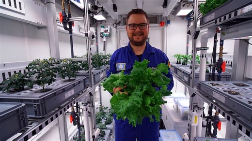 Vegetables Grown in Antarctica Without Soil or Daylight Pave the Way for Mars Mission