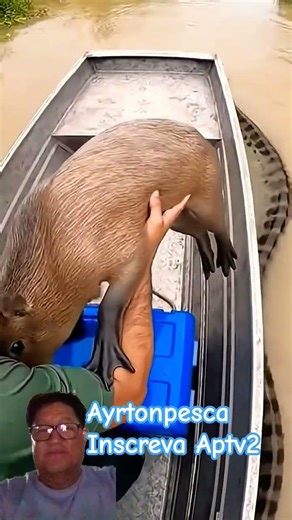 Amazing #fishing #pescaria