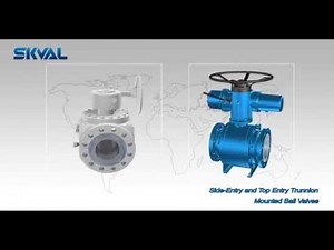 Top Entry&Side Entry Trunnion Mounted Ball Valve