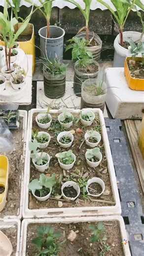 Project Tree 🌱 Phase Twelve: The Update P2 - Agricultural Development #garden #plants #ourworldtt